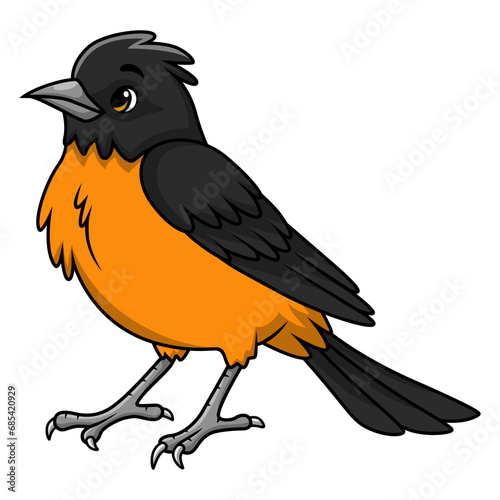 Cute baltimore oriole bird cartoon on white background
