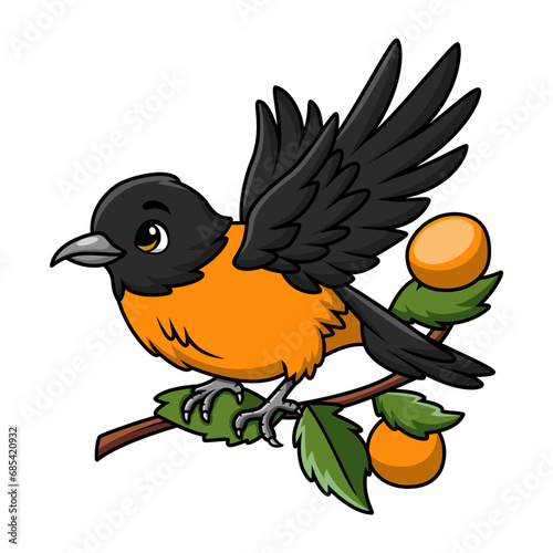 Cute baltimore oriole bird cartoon on white background