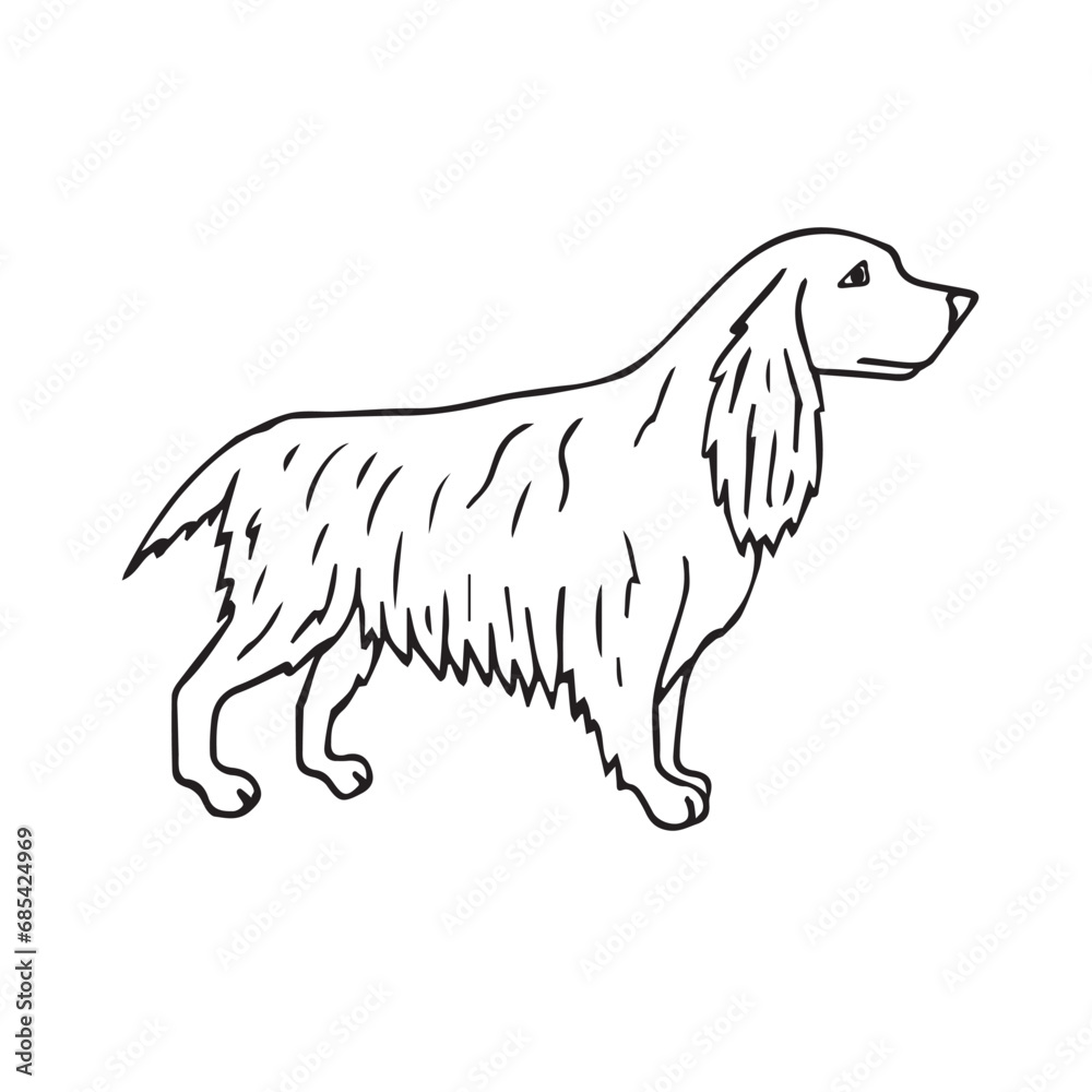 Vector hand drawn doodle sketch spaniel dog isolated on white background