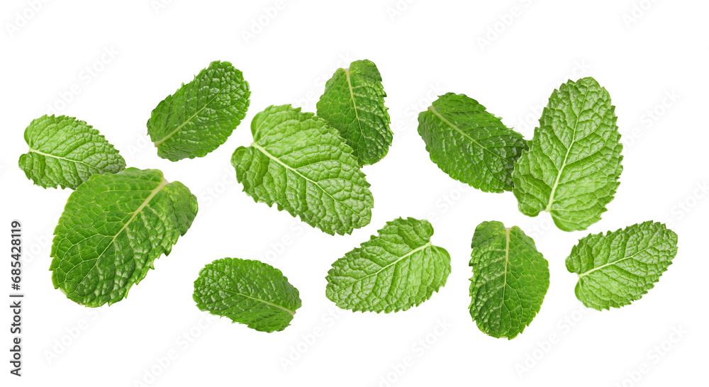 Fresh mint leaves flying on white background