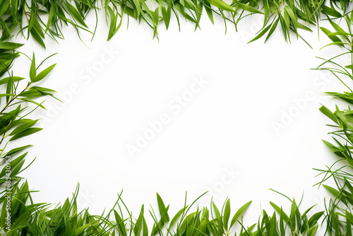 green grass frame with white background © MdBalal