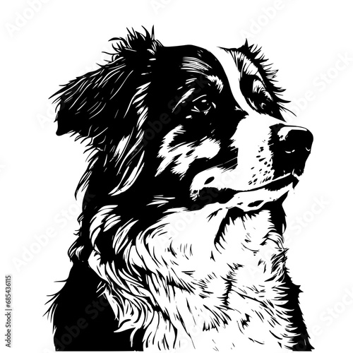 Australian Shepherd svg