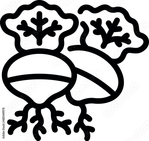 Rutabaga vegetables icon outline vector. Nutritional root veggies. Raw turnips food