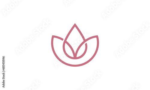 pink lotus flower