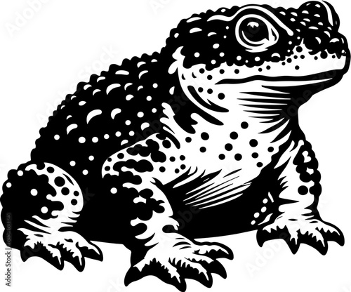 Natterjack icon 5