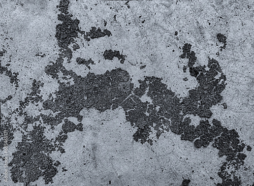 monochrome mold cement wall with crack broken background, fungus on a rock and detail texture	