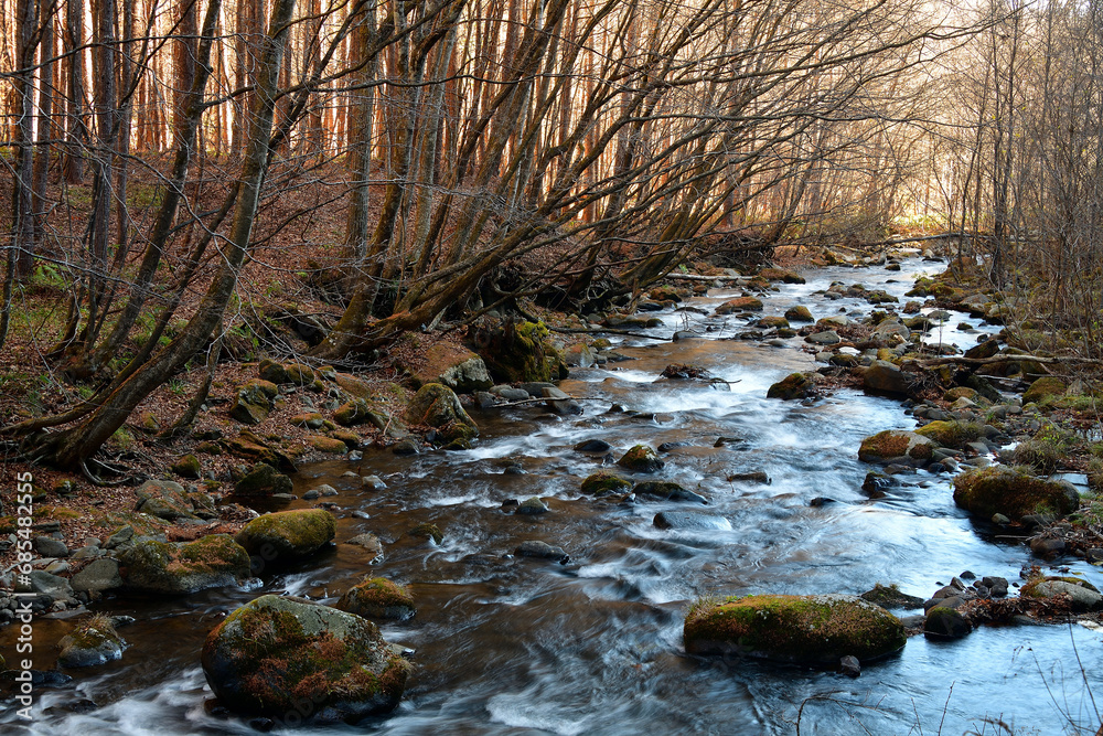 Obraz premium 塗川 群馬県利根郡片品村