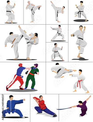 Oriental combat sports. The sportsman in a position. Wushu. KungFu. Karate.