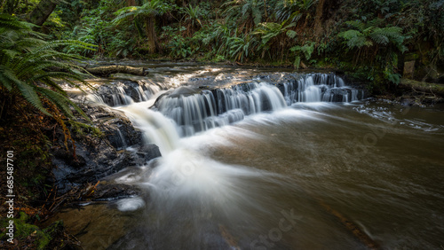 Fototapeta Naklejka Na Ścianę i Meble -  Purakaunui Falls