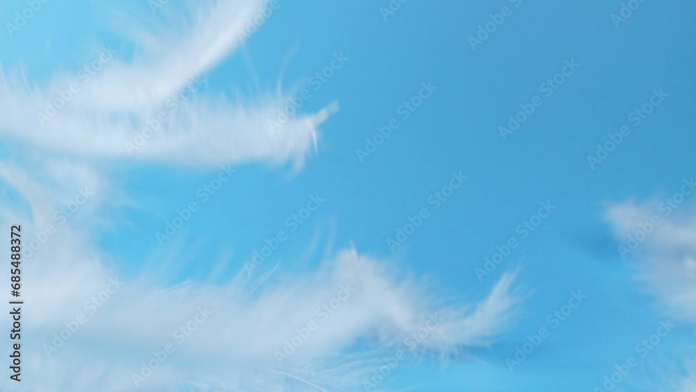 Slow motion white fluffy feathers falling and flying on chroma key background