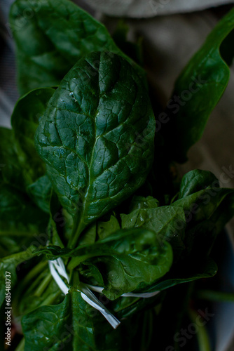 Fresh Spinach