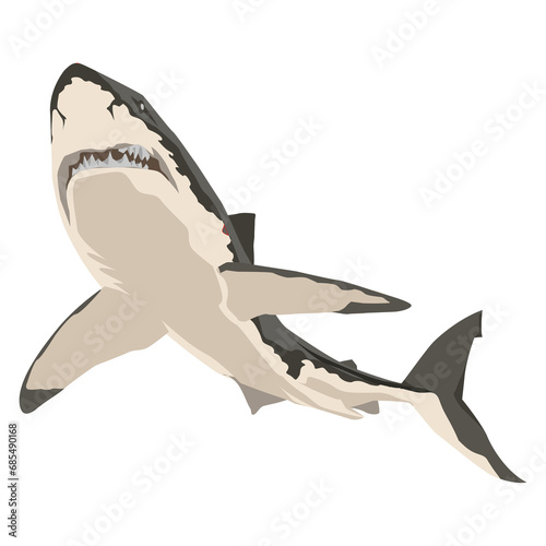 wild shark image png