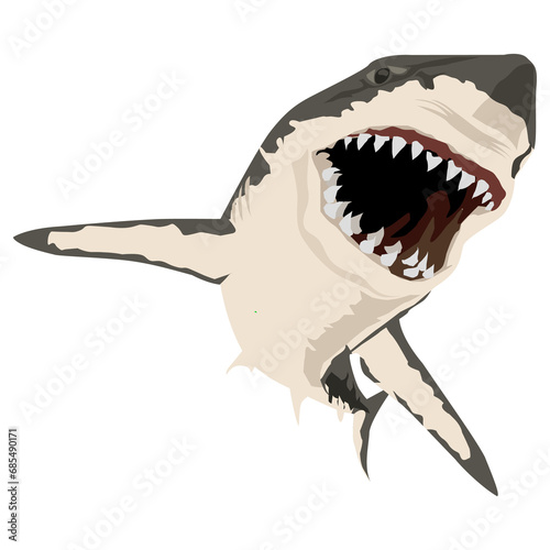 wild shark image png