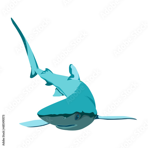 wild shark image png