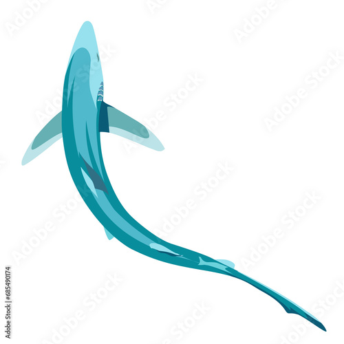 wild shark image png