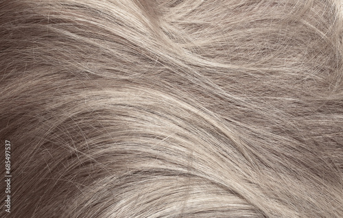 Blond hair close-up as a background. Women's long light brown hair. Beautifully styled wavy shiny curls. Hair coloring. Hairdressing procedures, extension.