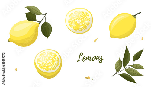 Vector illustration of yellow lemons on a branch. Vegetables, fruits, kitchen, cooking, eating, drinking tea, gardening designs.