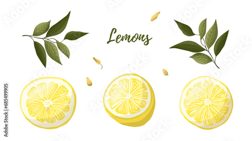 Vector illustration of yellow lemons on a branch. Vegetables, fruits, kitchen, cooking, eating, drinking tea, gardening designs.