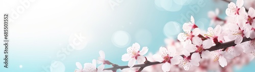 Springtime Blossoming Apricot Tree Branches - Web Banner with Copy Space