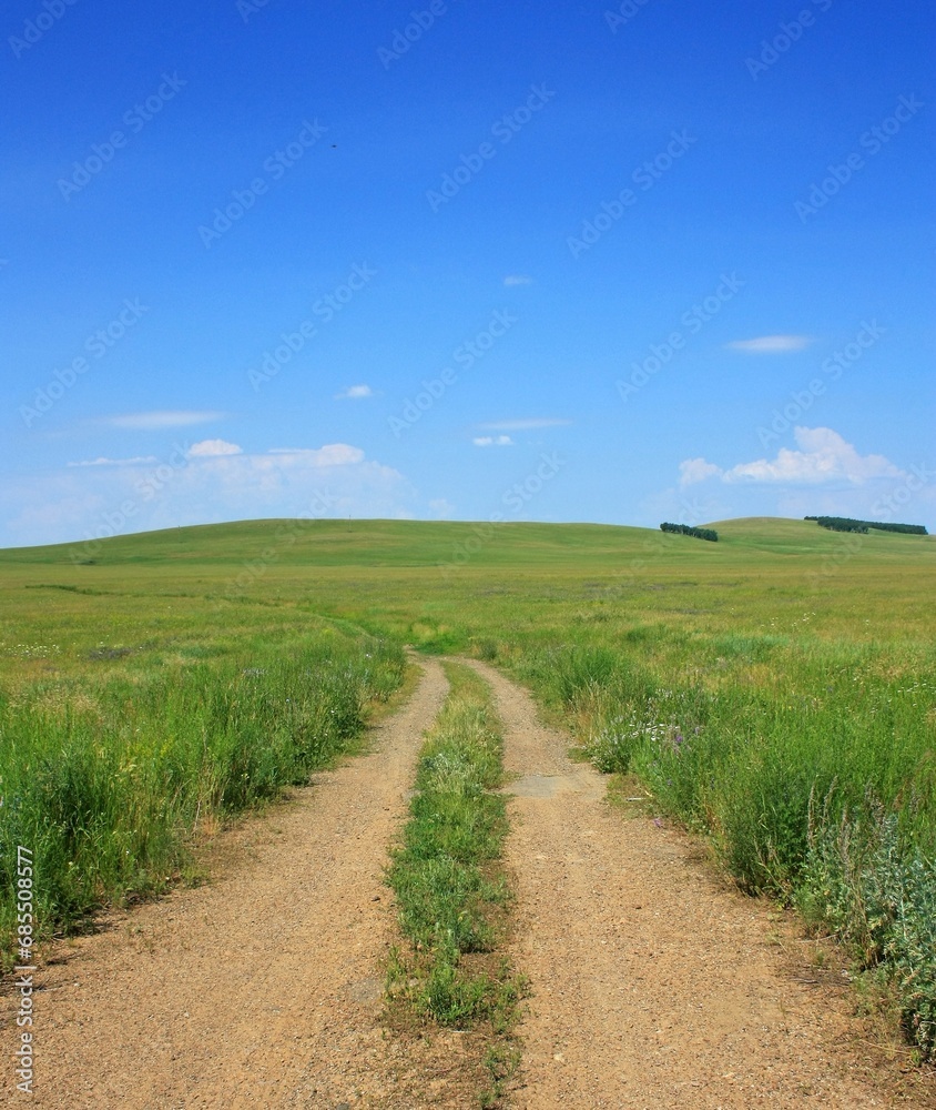 Summer landscape with dirt road and green grass, blue sky and clouds