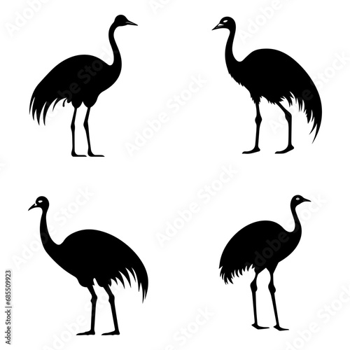 ostrich silhouette isolated on white