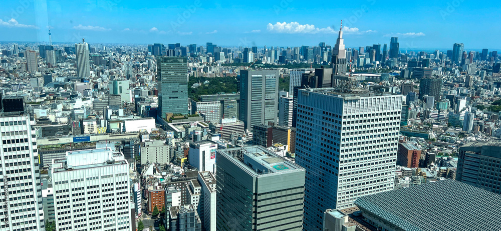 Fototapeta premium 新宿の高層ビル群