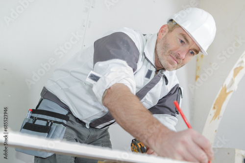 portrait of a busy carpenter