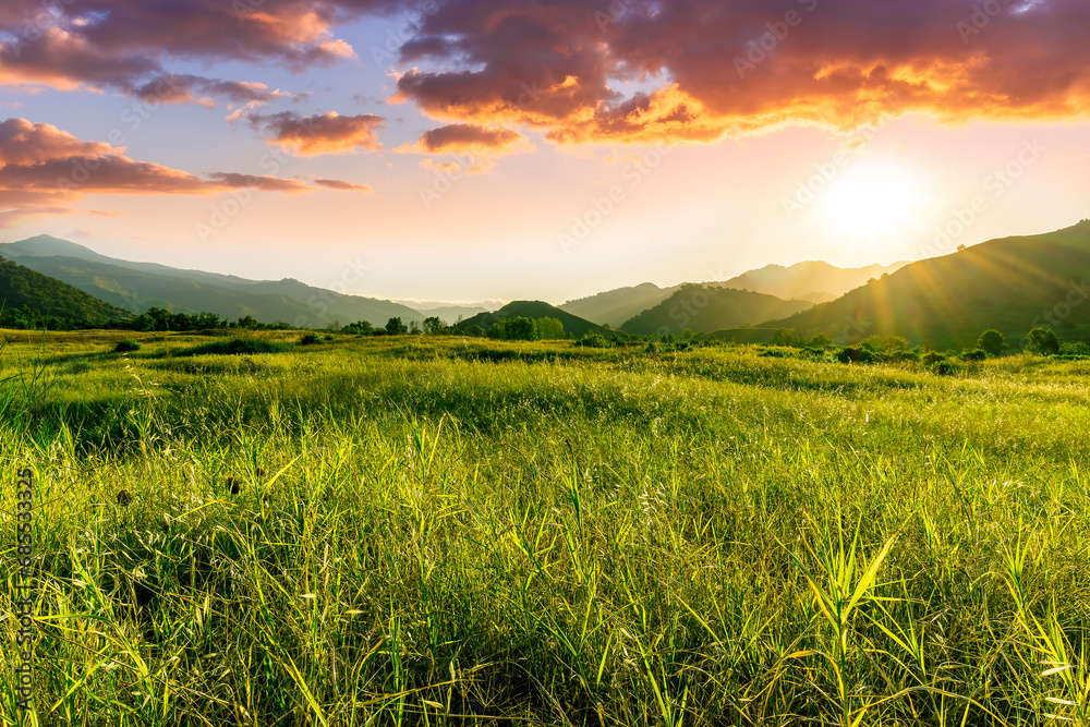 summer of spring landscape of green grass meadow with great beautiful mountains and awersome golden cloudy sunset summer of spring landscape of green grass meadow with great beautiful mountains and awersome golden cloudy sunset