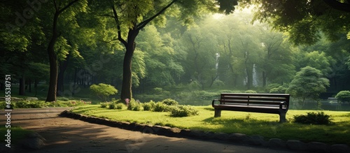 Tranquil park with greenery.