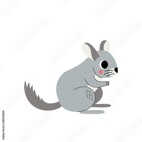 Vector illustration of cute cartoon chinchilla isolated on white background.