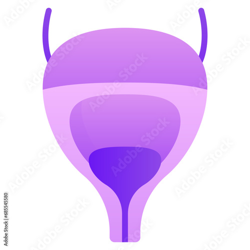 Urinary Bladder Icon