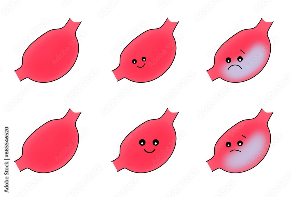 胃のイラストセット 胃のイラストセット