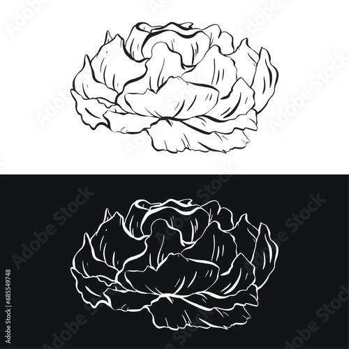 vector artwork. a striking rose with intricate contours in black and white ink. Abundant, fluffy petals create a lavish visual. Ideal for tattoos invitations cards posters weddings and birthdays