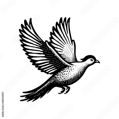 Hand Drawn Monochrome Illustration of a Flying Pheasant