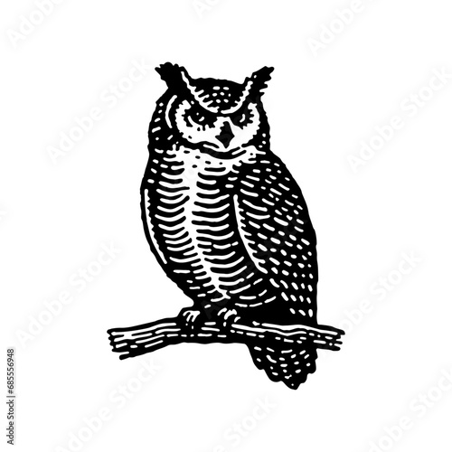 Monochrome Illustration of an Great Horned Owl Perch
