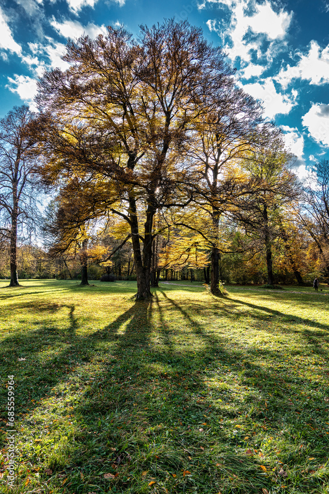 Golden autumn view in famous Munich relax place - Englischer Garten. Munich, Bavaria, Germany Golden autumn view in famous Munich relax place - Englischer Garten. Munich, Bavaria, Germany