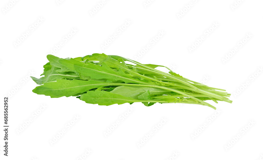 Sweet rucola salad or rocket lettuce leaves transparent png Sweet rucola salad or rocket lettuce leaves transparent png