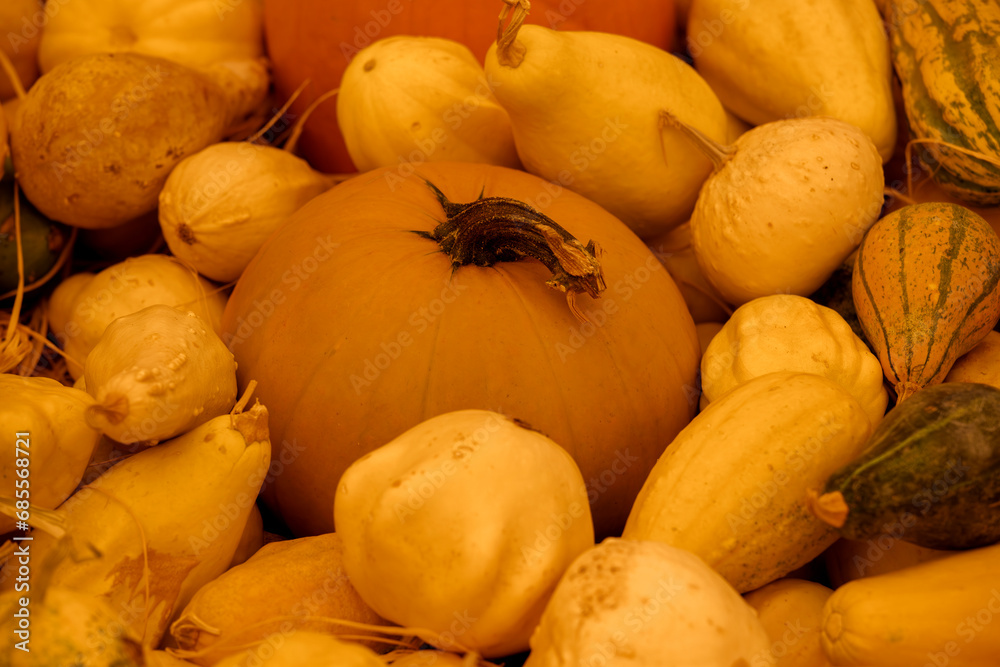 Small round pumpkins at the market