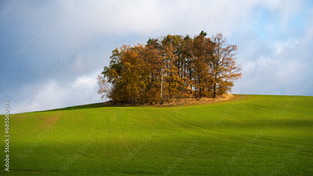 Fototapeta premium beautiful panorama autumn landscape background