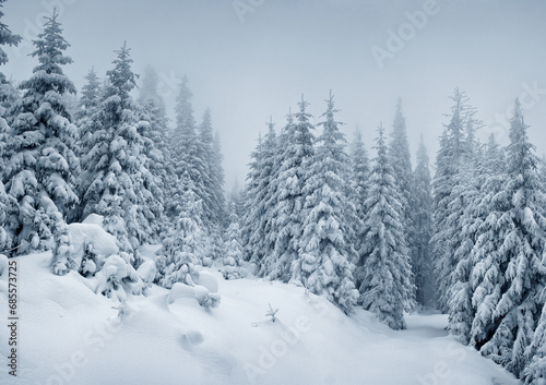 winter landscape © Leonid Tit
