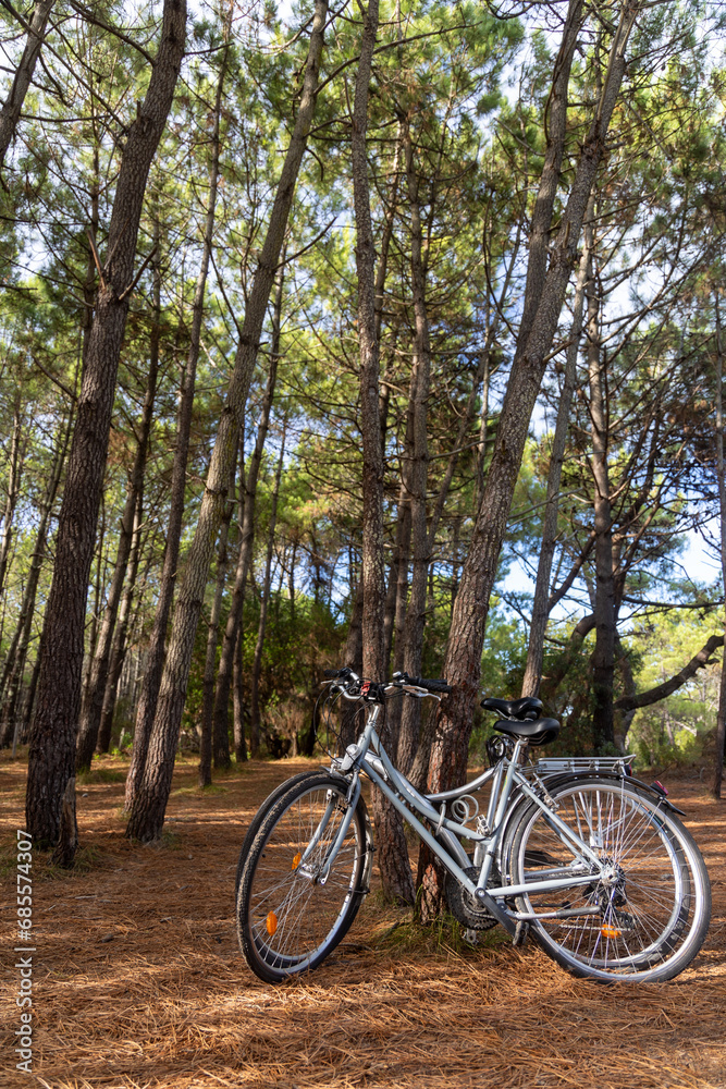 Vélos dans la forêt des landes en France