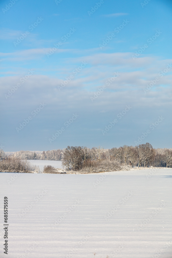 Obraz premium landscape with snow covered trees
