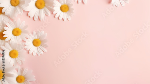 Minimal styled concept. White daisy chamomile flowers on pale pink background. Creative lifestyle, summer, spring concept. Copy space, flat lay, top view © liang