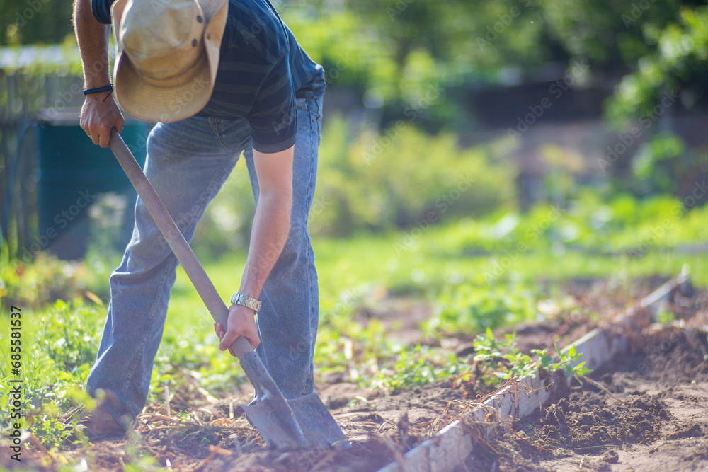 Naklejka premium The farmer digs the soil in the vegetable garden. Preparing the soil for planting vegetables. Gardening concept. Agricultural work on the plantation
