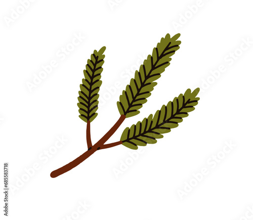 Green needle tree branch. Evergreen conifer twig. Coniferous plant, winter sp...