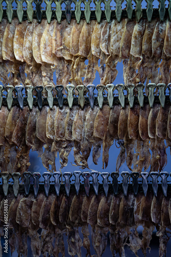 Dried squid ready to be used as a meal.