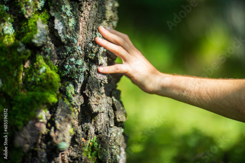 A man's hand touch the tree trunk close-up. Bark wood.Caring for the environment. The ecology concept of saving the world and love nature by human #685596512