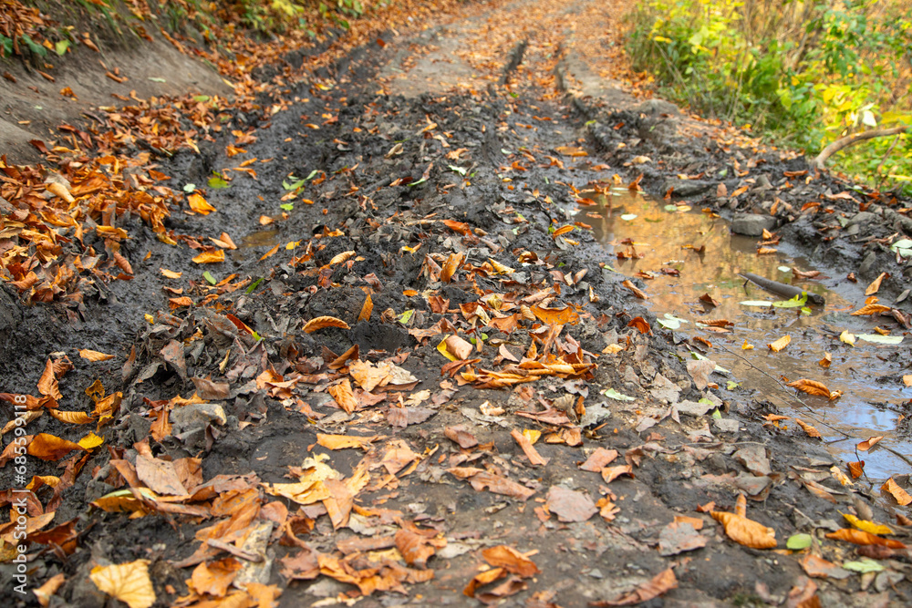 Obraz premium Forest landscape with a muddy road.