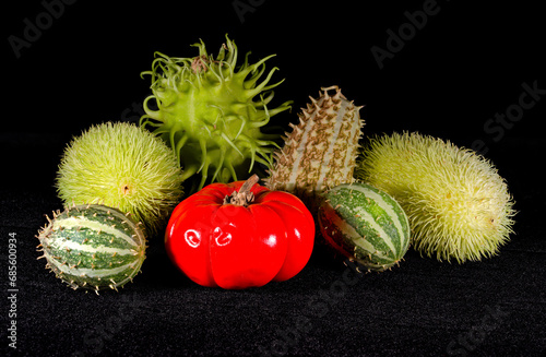 Selection of exotic vegetables (cucumis africanus, cucumis anguria,  Cucumis dipsaceus, melanzana rossa) photo