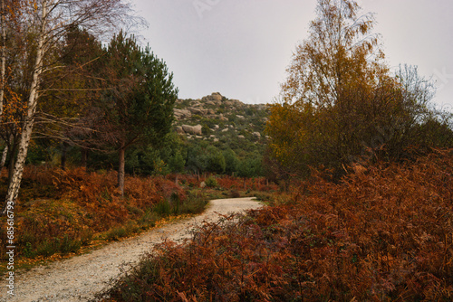 road mountain landscape scenic cloud nature outdoor tree autumn